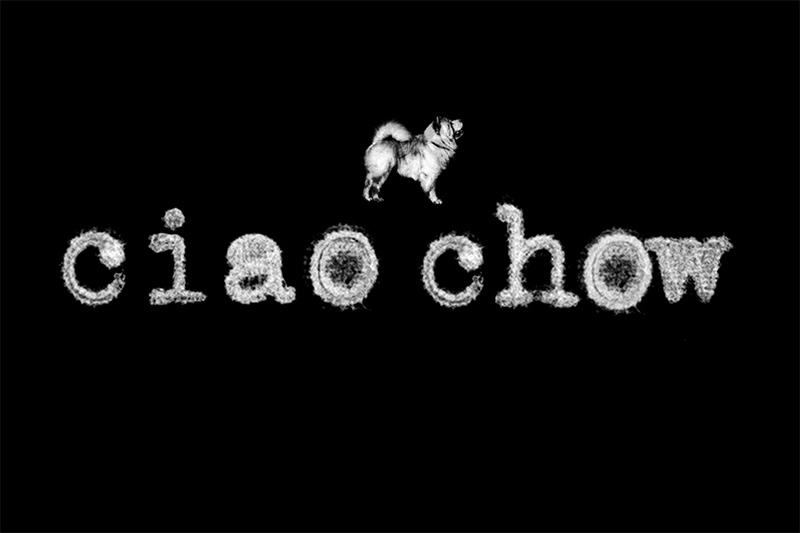 Pizzeria: Ciao Chow 