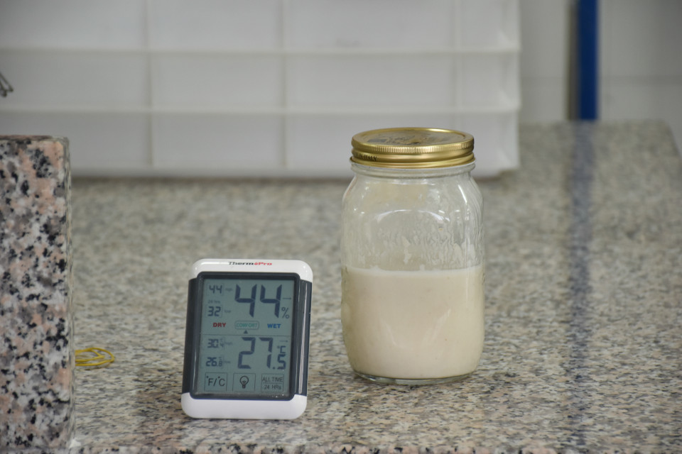 AVPN - Sourdough Masterclass