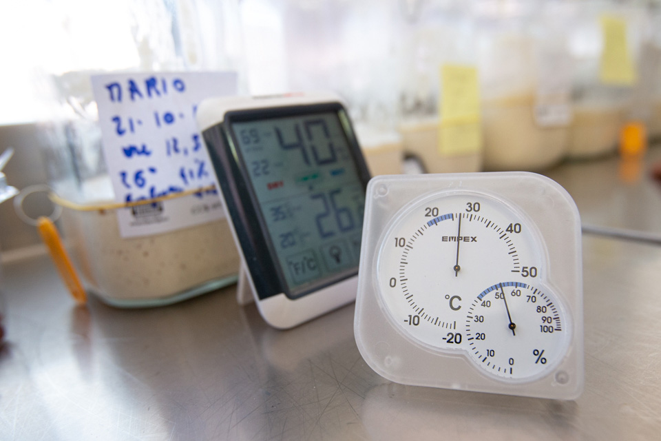 AVPN - Sourdough Masterclass