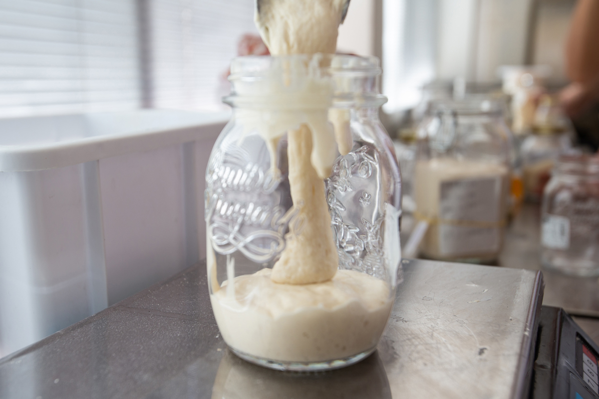 Sourdough Masterclass