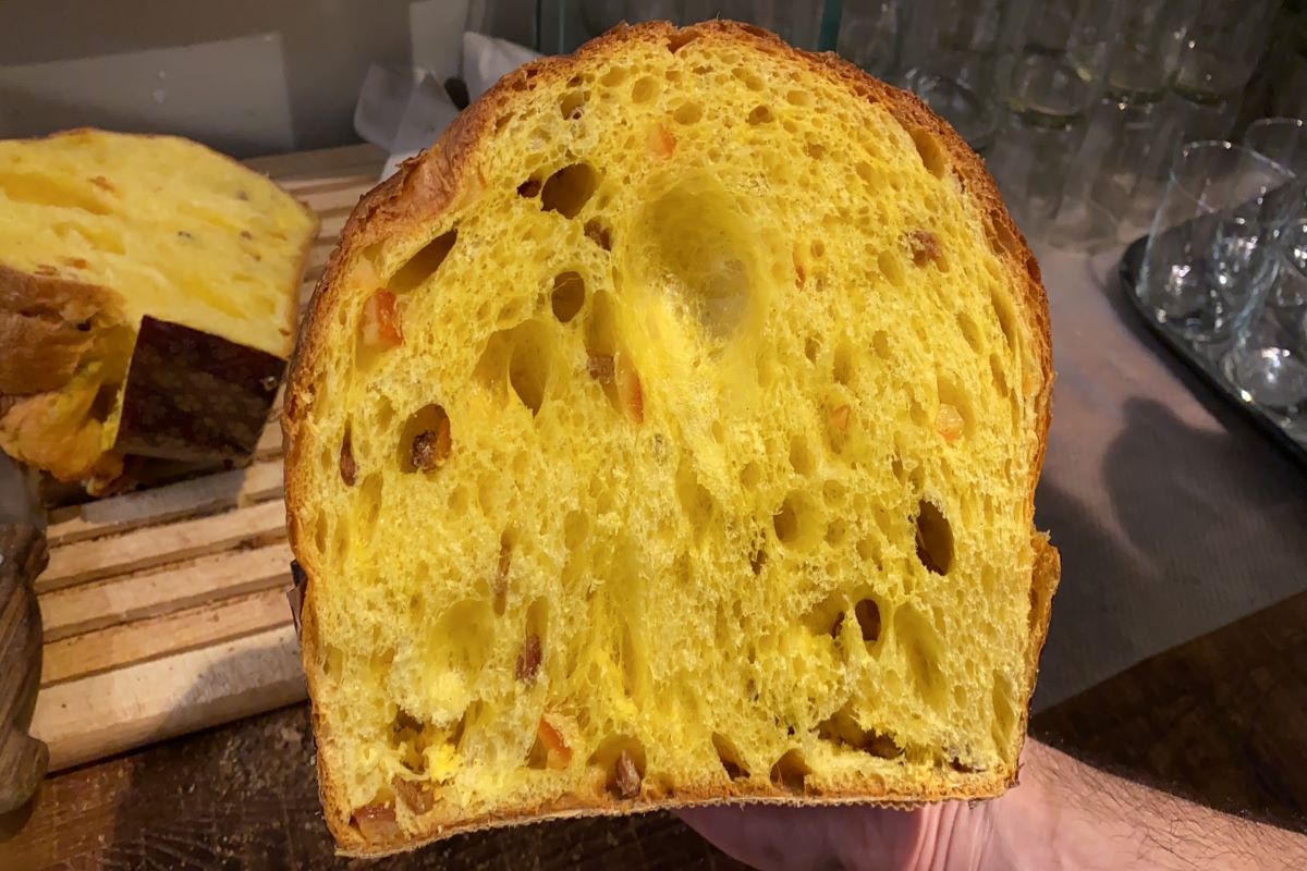 AVPN - Panettone