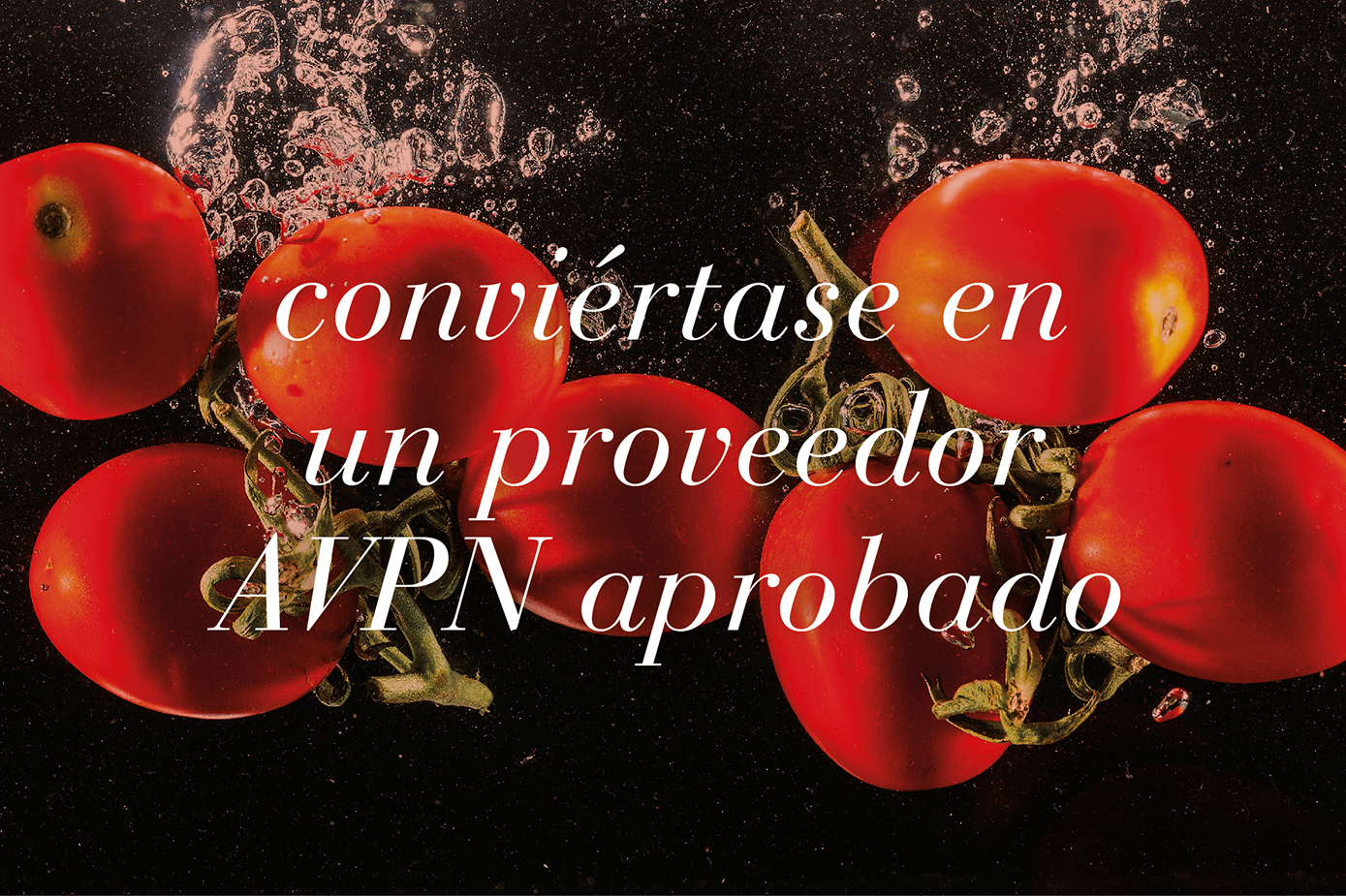 AVPN - Albo fornitori associati